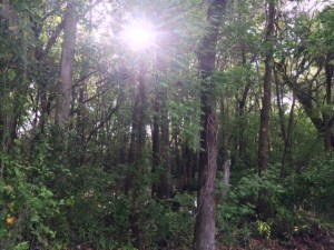 Little Econ Trail VII on 3-12-15